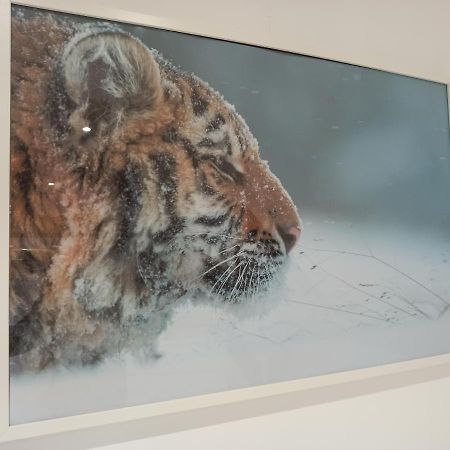 A 4 Min Du Zoo De Beauval La Maison A Partager Ch4 2Eme Etage Saint-Aignan  Exteriér fotografie