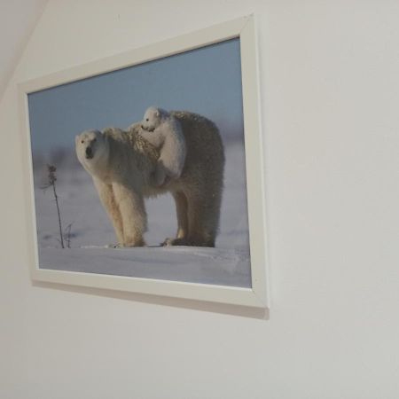 A 4 Min Du Zoo De Beauval La Maison A Partager Ch4 2Eme Etage Saint-Aignan  Exteriér fotografie