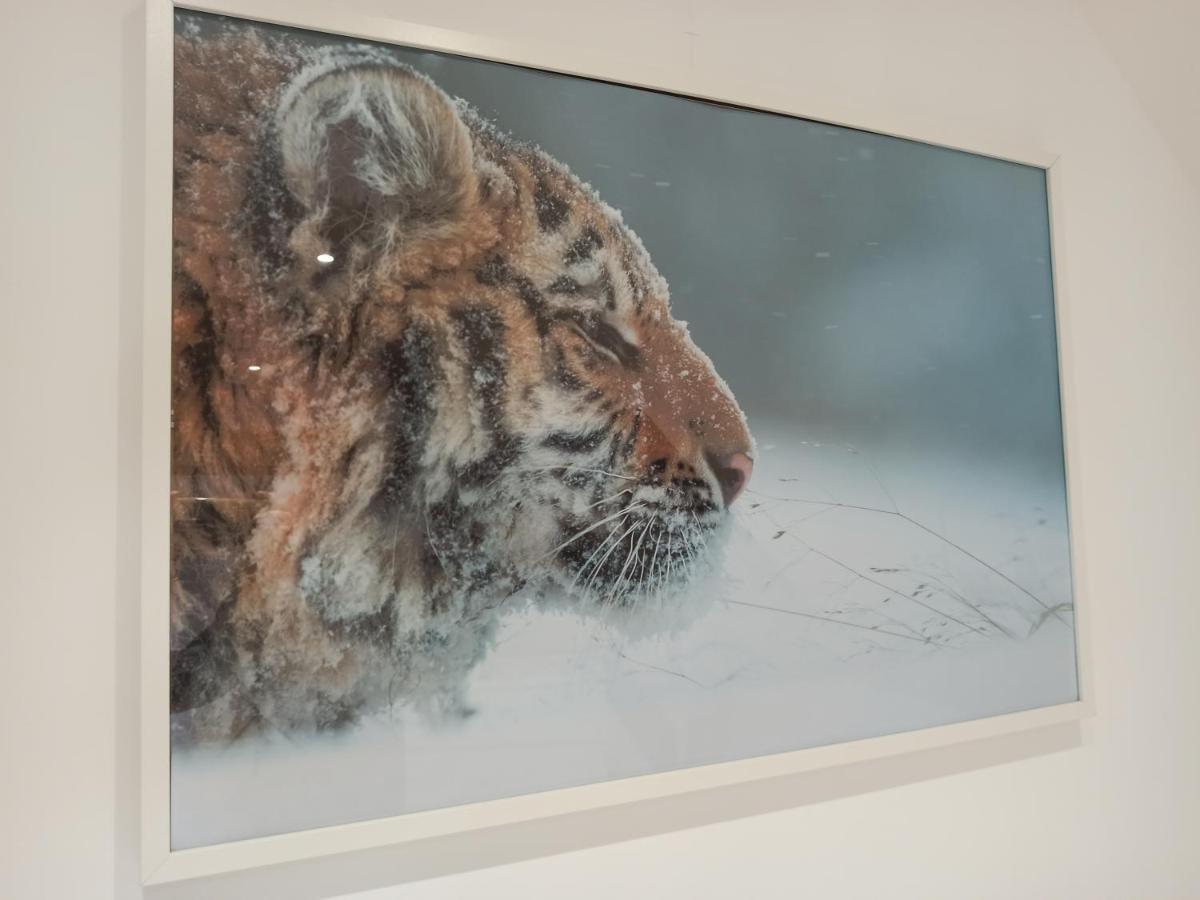 A 4 Min Du Zoo De Beauval La Maison A Partager Ch4 2Eme Etage Saint-Aignan  Exteriér fotografie