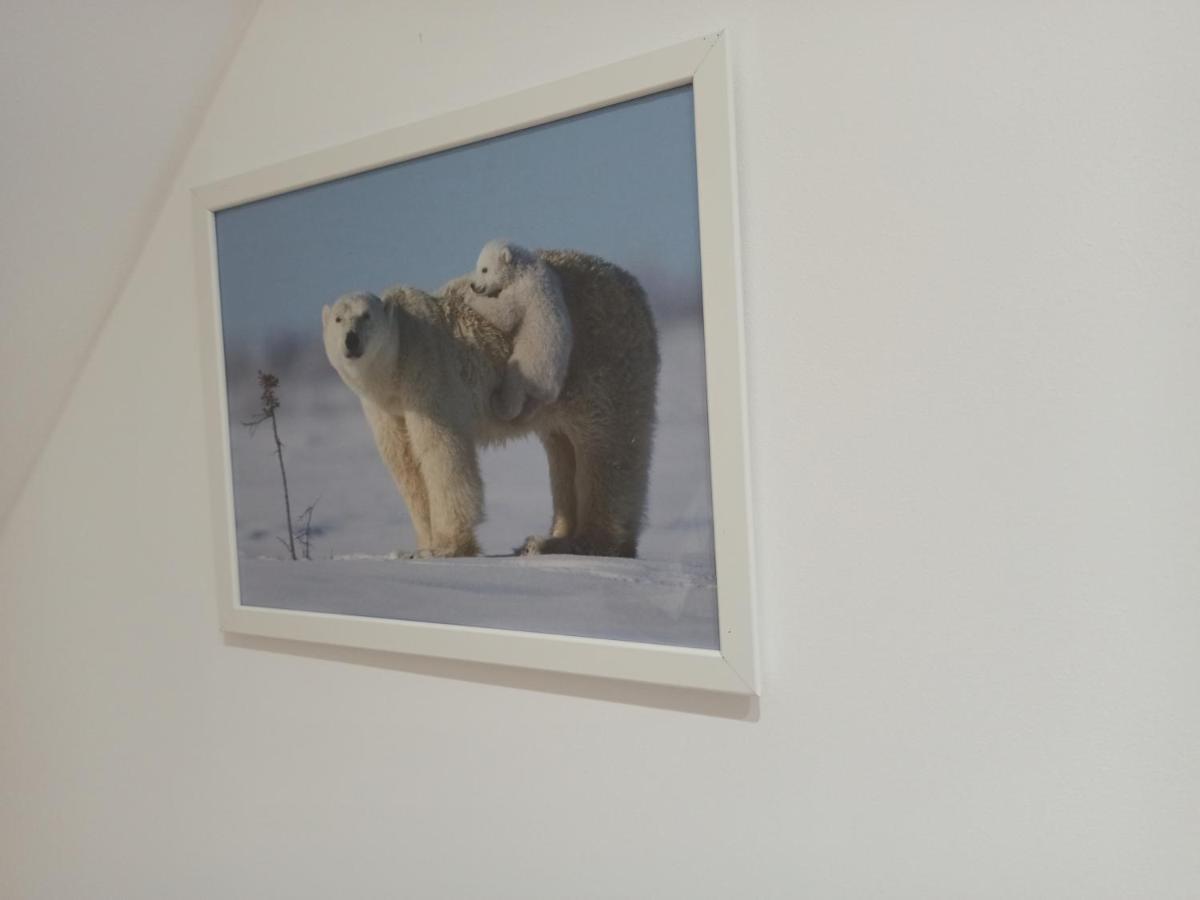 A 4 Min Du Zoo De Beauval La Maison A Partager Ch4 2Eme Etage Saint-Aignan  Exteriér fotografie